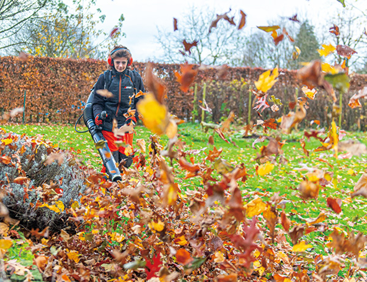 Kraftfull blåskraft.